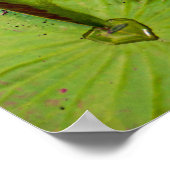 Drievoudige Lotus & Waterlelieblad Patroon Poster (Hoek)