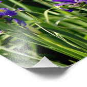 Drievoudige paarse foto foto's foto afdruk (Hoek)