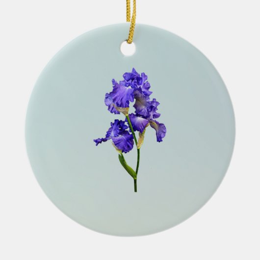 Drievoudige Paarse iris Keramisch Ornament (Voorkant)