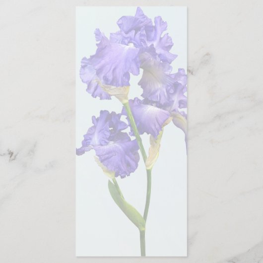 Drievoudige Paarse Iris Menu (Achterkant)
