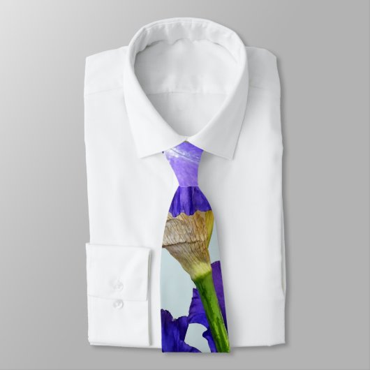 Drievoudige Paarse iris Stropdas (Gebonden)