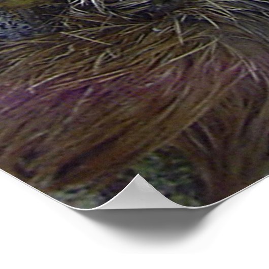 Drievoudige sleuf poster (Hoek)