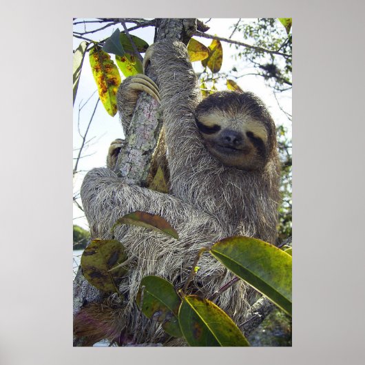 Drievoudige sleuf poster (Voorkant)