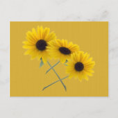 Drievoudige Zonnebloem Voeg Uw Eigen Foto Toe Briefkaart (Voorkant)