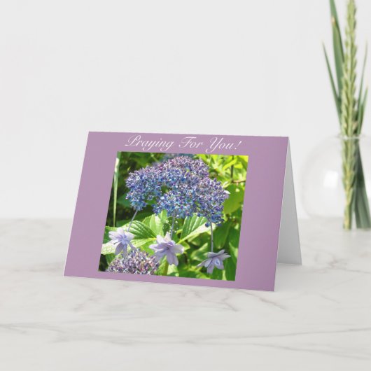 Drievuldigheid die voor u bidden kaart (Voorkant)