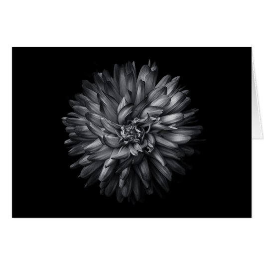 Driewerende bloemen in zwart-wit 20 (Voorkant Horizontaal)