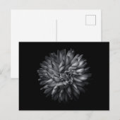 Driewerende bloemen in zwart-wit 20 briefkaart (Voorkant / Achterkant)