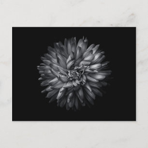 Driewerende bloemen in zwart-wit 20 briefkaart
