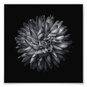 Driewerende bloemen in zwart-wit 20 foto afdruk
