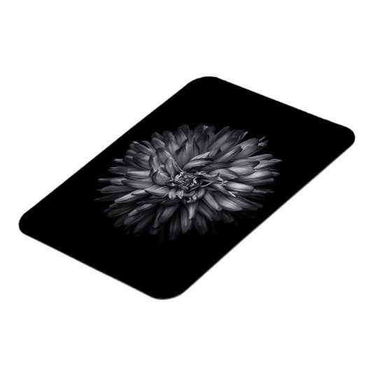 Driewerende bloemen in zwart-wit 20 magneet (Linkerzijde)