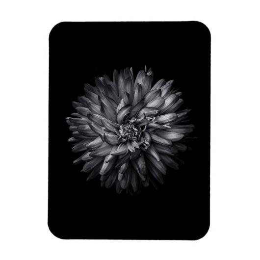 Driewerende bloemen in zwart-wit 20 magneet (Verticaal)