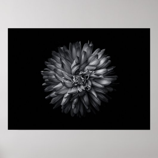 Driewerende bloemen in zwart-wit 20 poster (Voorkant)