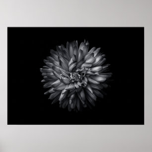Driewerende bloemen in zwart-wit 20 poster