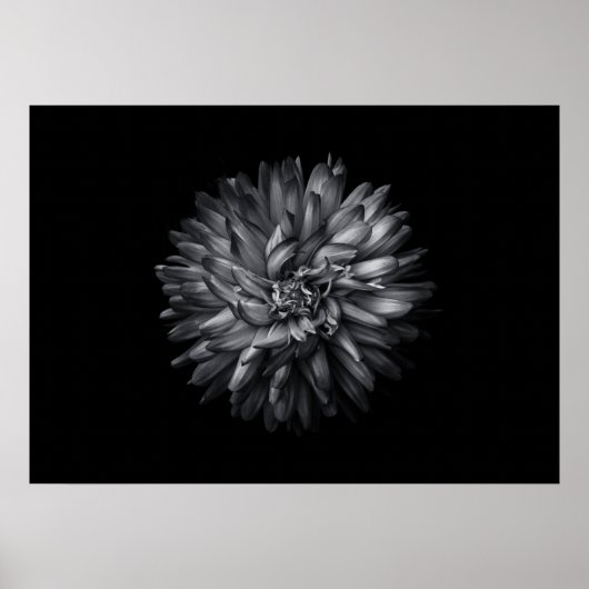 Driewerende bloemen in zwart-wit 20 poster (Voorkant)