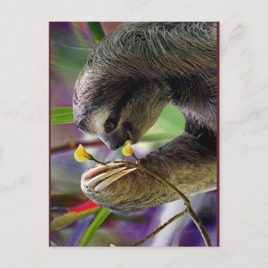 Driezijdige boomgaard briefkaart (Voorkant)