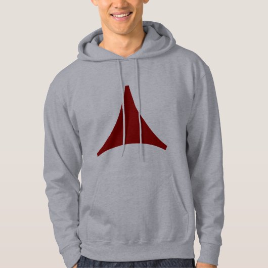 Driezijdige Pijl Hoodie (Voorkant)