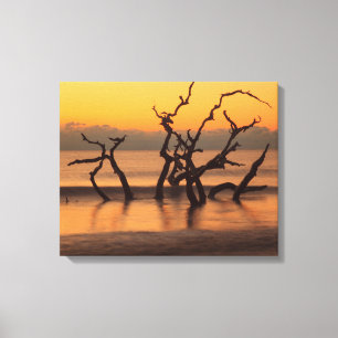 Drifthoutstrand bij zonsopgang Jekyll Island Georg Canvas Afdruk