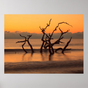 Drifthoutstrand bij zonsopgang Jekyll Island Georg Poster