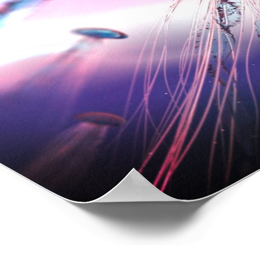 Drifting Along Poster (Hoek)