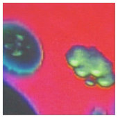 Drifting Reverie Fabric Stof (Close Up)