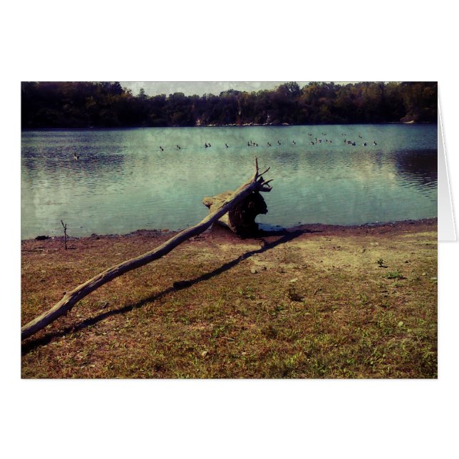 Driftwood (Voorkant Horizontaal)