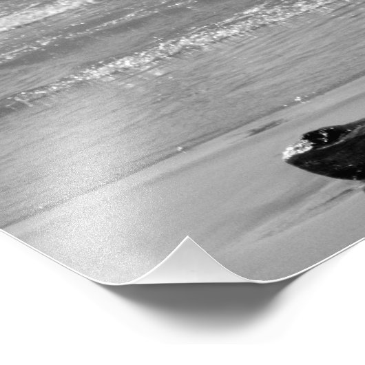 Driftwood 2 foto afdruk (Hoek)