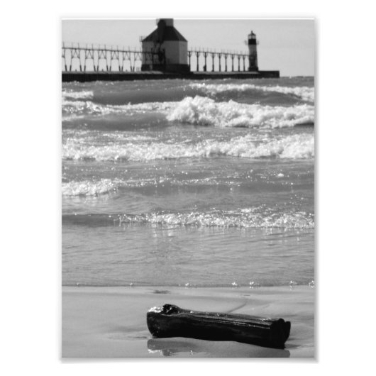 Driftwood 2 foto afdruk (Voorkant)