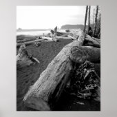 driftwood 2 poster (Voorkant)