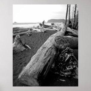 driftwood 2 poster