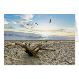 Driftwood - 5 x 7-inch Art Kaart