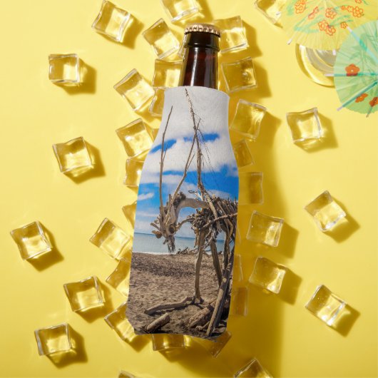 Driftwood artwork on Hokitika Beach, Nieuw-Zeeland Flesjeskoeler (Insitu Zomer)