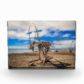 Driftwood artwork on Hokitika Beach, Nieuw-Zeeland Fotoblokken (Voorkant)