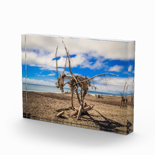Driftwood artwork on Hokitika Beach, Nieuw-Zeeland Fotoblokken (Rechts)
