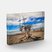 Driftwood artwork on Hokitika Beach, Nieuw-Zeeland Fotoblokken (Links)