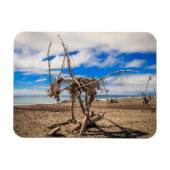Driftwood artwork on Hokitika Beach, Nieuw-Zeeland Magneet (Horizontaal)