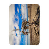 Driftwood artwork on Hokitika Beach, Nieuw-Zeeland Magneet (Verticaal)