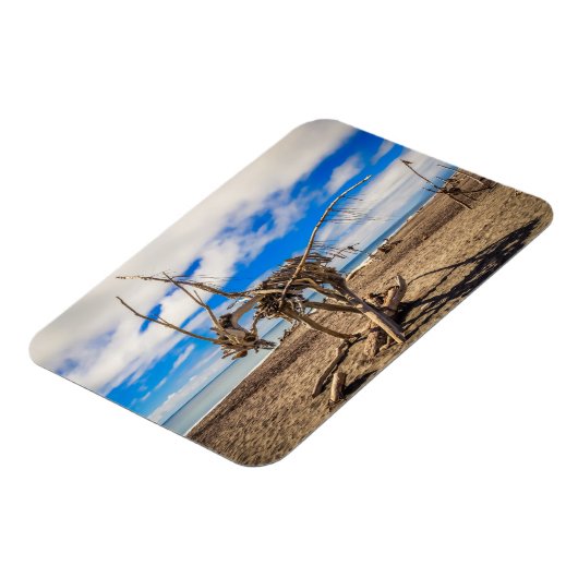 Driftwood artwork on Hokitika Beach, Nieuw-Zeeland Magneet (Linkerzijde)