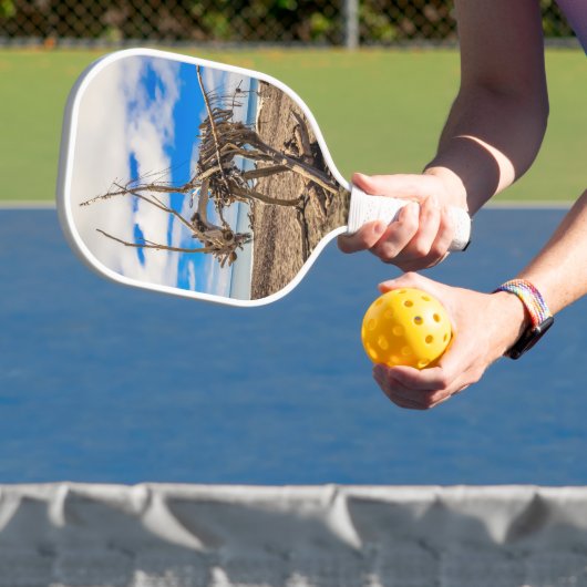 Driftwood artwork on Hokitika Beach, Nieuw-Zeeland Pickleball Paddle (Insitu)