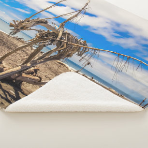 Driftwood artwork on Hokitika Beach, Nieuw-Zeeland Sherpa Deken