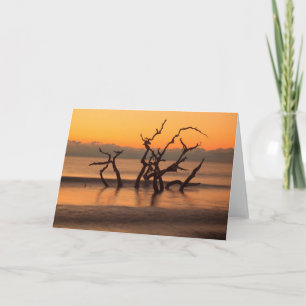 Driftwood Beach bij zonsopgang Jekyll Island Georg Kaart