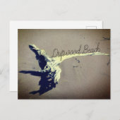 Driftwood Beach Briefkaart (Voorkant / Achterkant)