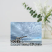Driftwood Beach Briefkaart (Staand voorkant)
