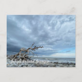 Driftwood Beach Briefkaart (Voorkant)