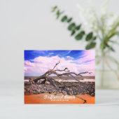 Driftwood Beach Jekyll Island Georgia Briefkaart (Staand voorkant)