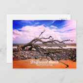 Driftwood Beach Jekyll Island Georgia Briefkaart (Voorkant / Achterkant)