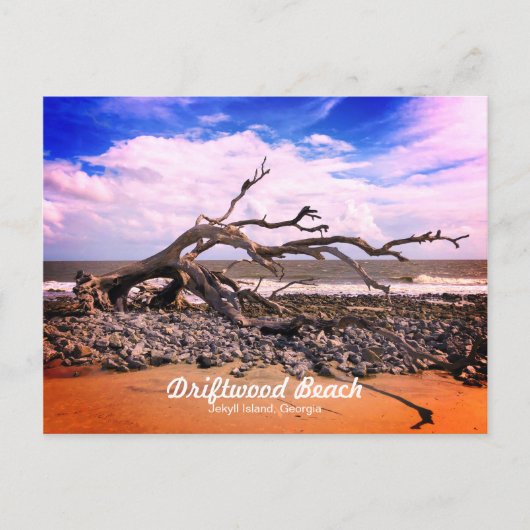 Driftwood Beach Jekyll Island Georgia Briefkaart (Voorkant)