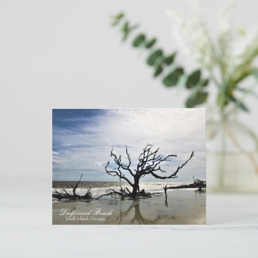 Driftwood Beach Jekyll Island Georgia Briefkaart (Staand voorkant)