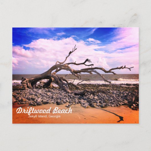 Driftwood Beach Jekyll Island Georgia Briefkaart (Voorkant)