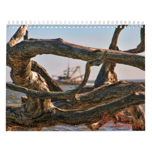 Driftwood Beach-kalander Kalender (Hoes)
