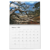 Driftwood Beach-kalander Kalender (Feb 2027)